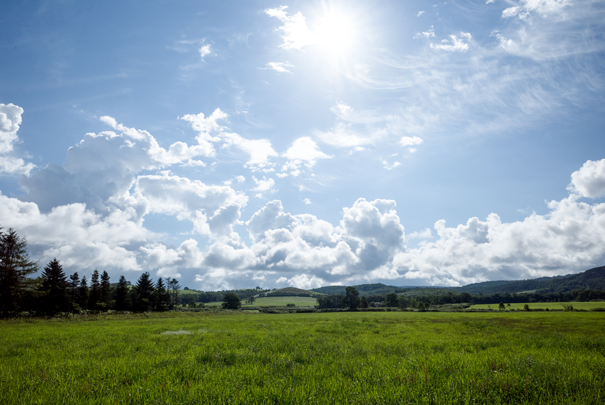 j[TCʐ^@RICOH GR GR18.3mm1:2.8