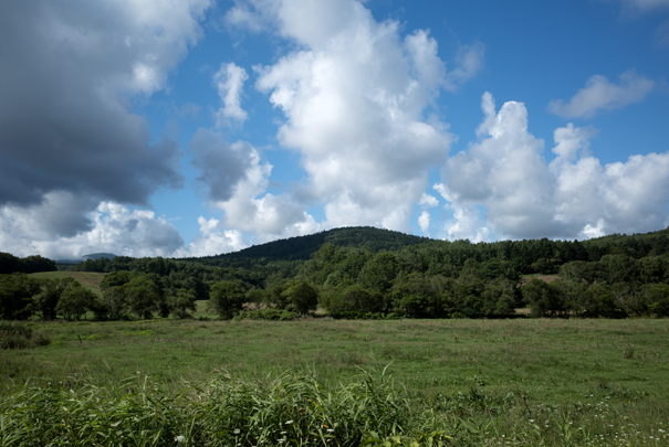 j[TCʐ^@RICOH GR GR18.3mm1:2.8