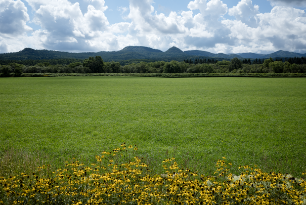 j[TCʐ^@RICOH GR GR18.3mm1:2.8