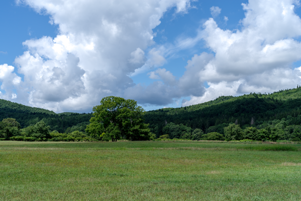 j[TCʐ^@RICOH GR GR18.3mm1:2.8