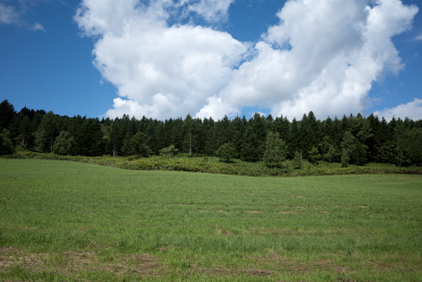 j[TCʐ^@RICOH GR GR18.3mm1:2.8