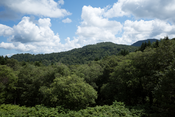 j[TCʐ^@RICOH GR GR18.3mm1:2.8