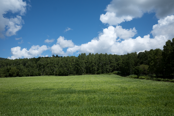 j[TCʐ^@RICOH GR GR18.3mm1:2.8