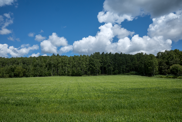 j[TCʐ^@RICOH GR GR18.3mm1:2.8