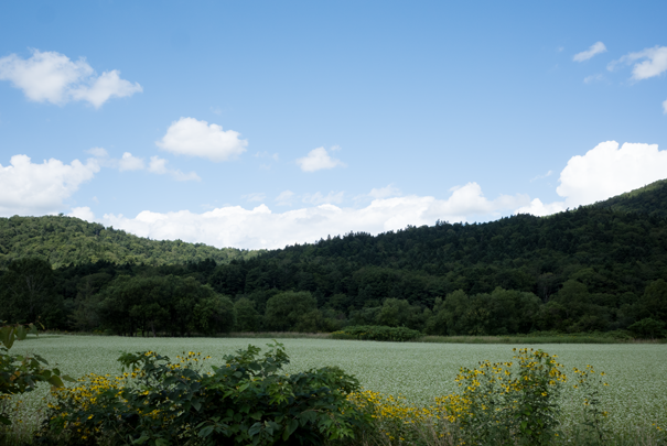 j[TCʐ^@RICOH GR GR18.3mm1:2.8