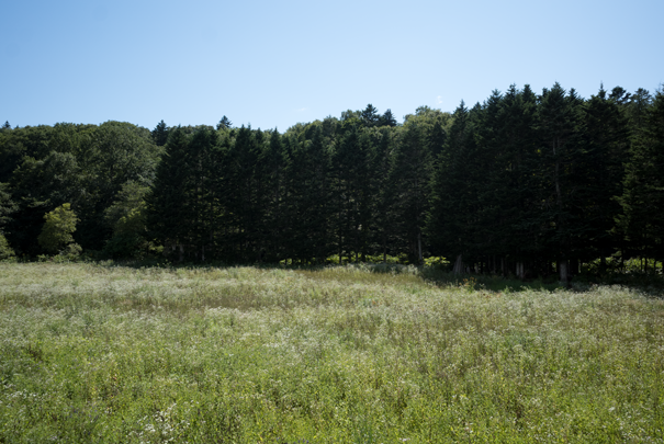 j[TCʐ^@RICOH GR GR18.3mm1:2.8