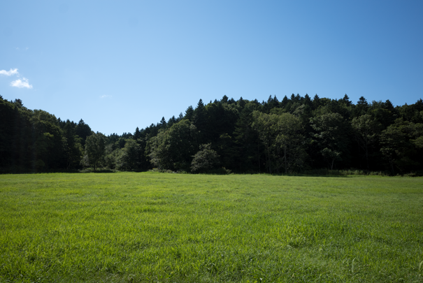 j[TCʐ^@RICOH GR GR18.3mm1:2.8