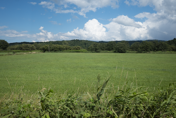 j[TCʐ^@RICOH GR GR18.3mm1:2.8