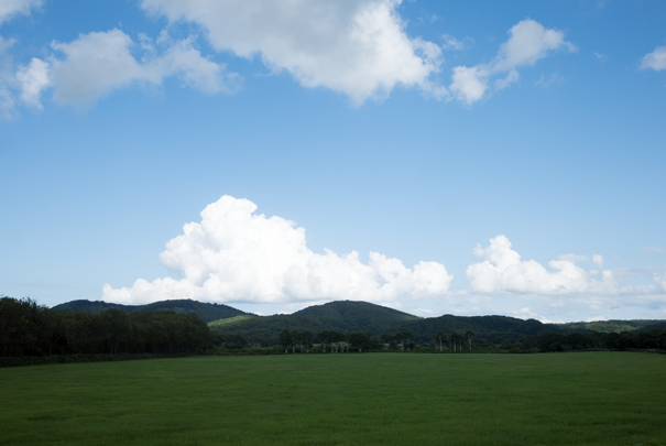 j[TCʐ^@RICOH GR GR18.3mm1:2.8