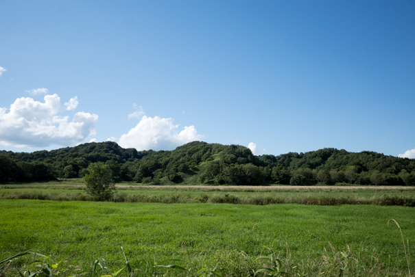 j[TCʐ^@RICOH GR GR18.3mm1:2.8