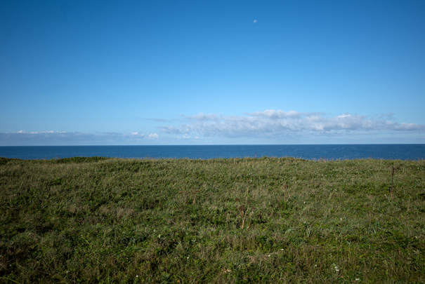 @RICOH GRV GR18.3mm1:2.8