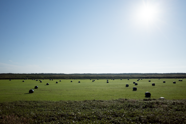 @RICOH GRV GR18.3mm1:2.8