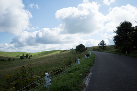 j[TCʐ^@RICOH GR GR18.3mm1:2.8