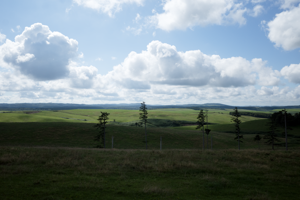 @RICOH GRV GR18.3mm1:2.8