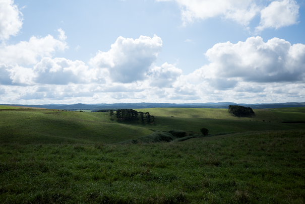 @RICOH GRV GR18.3mm1:2.8