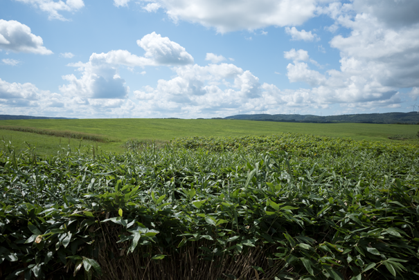 @RICOH GRV GR18.3mm1:2.8