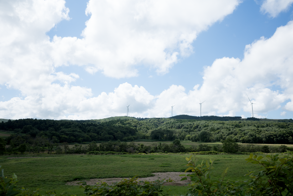 @RICOH GRV GR18.3mm1:2.8