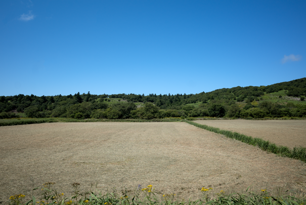 @RICOH GRV GR18.3mm1:2.8