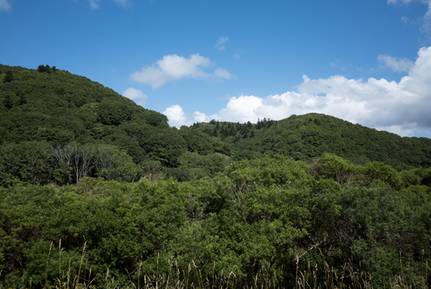 @RICOH GRV GR18.3mm1:2.8