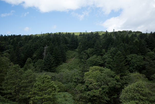 @RICOH GRV GR18.3mm1:2.8