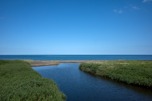 @RICOH GRV GR18.3mm1:2.8