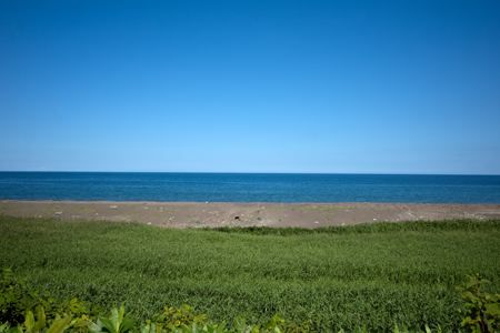 j[TCʐ^@RICOH GR GR18.3mm1:2.8