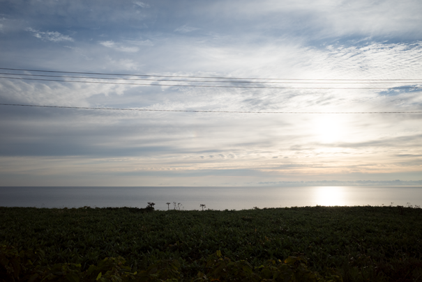 �@RICOH GR�V GR18.3mm1:2.8