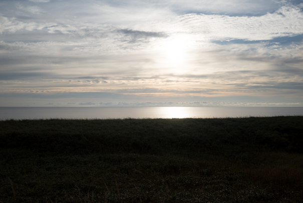 �@RICOH GR�V GR18.3mm1:2.8