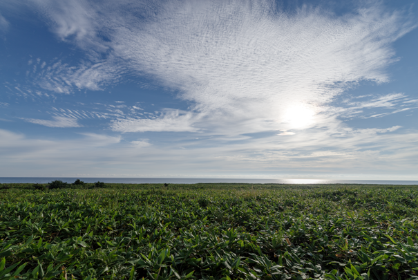 �@RICOH GR�V GR18.3mm1:2.8