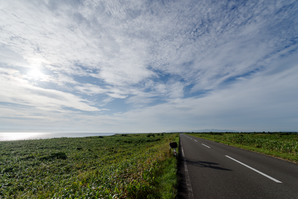 �@RICOH GR�V GR18.3mm1:2.8