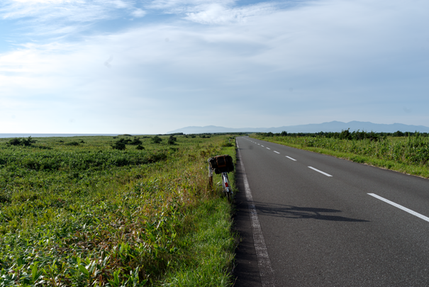 �@RICOH GR�V GR18.3mm1:2.8