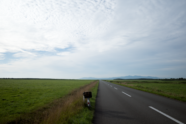 �@RICOH GR�V GR18.3mm1:2.8