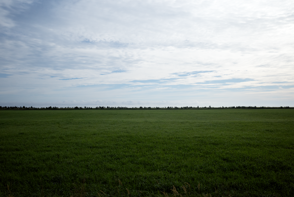 �@RICOH GR�V GR18.3mm1:2.8