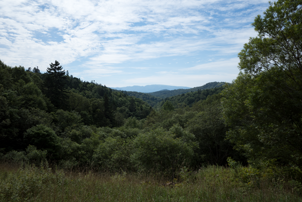 �@RICOH GR�V GR18.3mm1:2.8