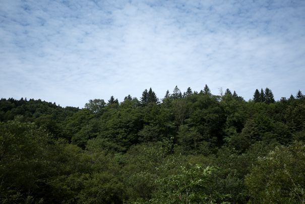 �@RICOH GR�V GR18.3mm1:2.8