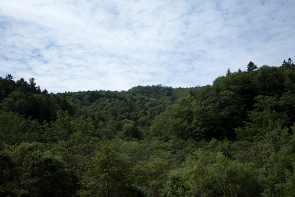 �@RICOH GR�V GR18.3mm1:2.8