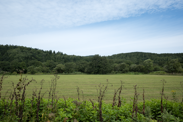 �@RICOH GR�V GR18.3mm1:2.8