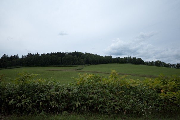 �@RICOH GR�V GR18.3mm1:2.8