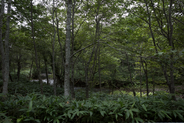 �@RICOH GR�V GR18.3mm1:2.8