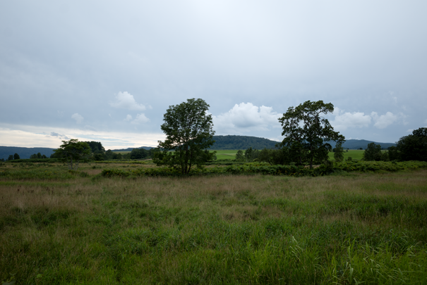 �@RICOH GR�V GR18.3mm1:2.8