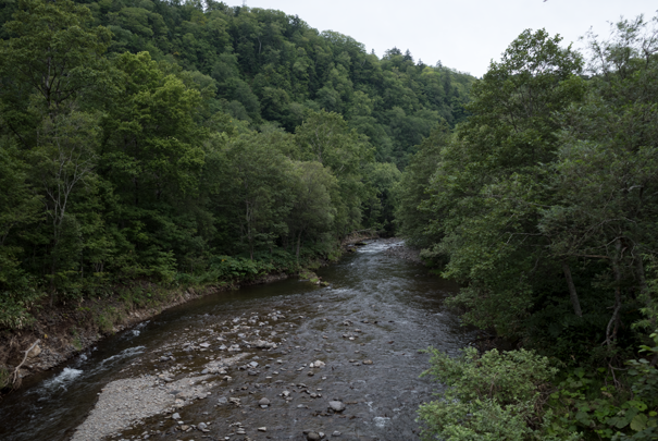 �@RICOH GR�V GR18.3mm1:2.8