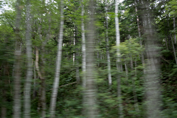 �@RICOH GR�V GR18.3mm1:2.8