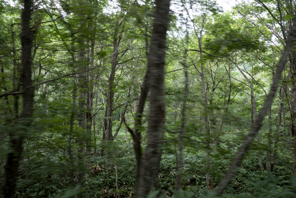 �@RICOH GR�V GR18.3mm1:2.8