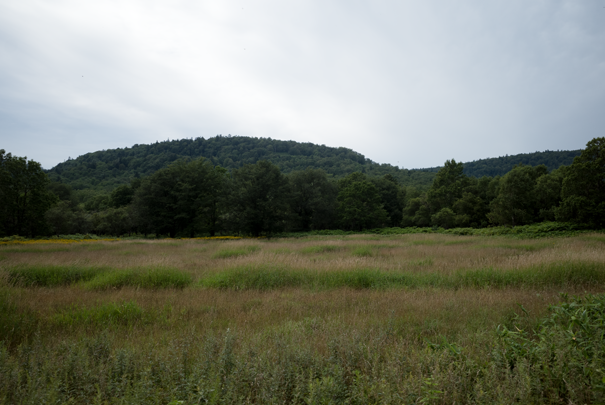 �@RICOH GR�V GR18.3mm1:2.8