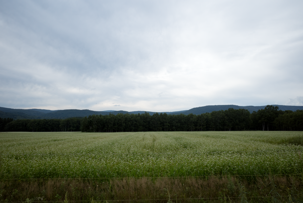 �@RICOH GR�V GR18.3mm1:2.8