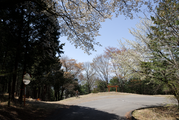 RICOH GR�W GR18.3mm1:2.8